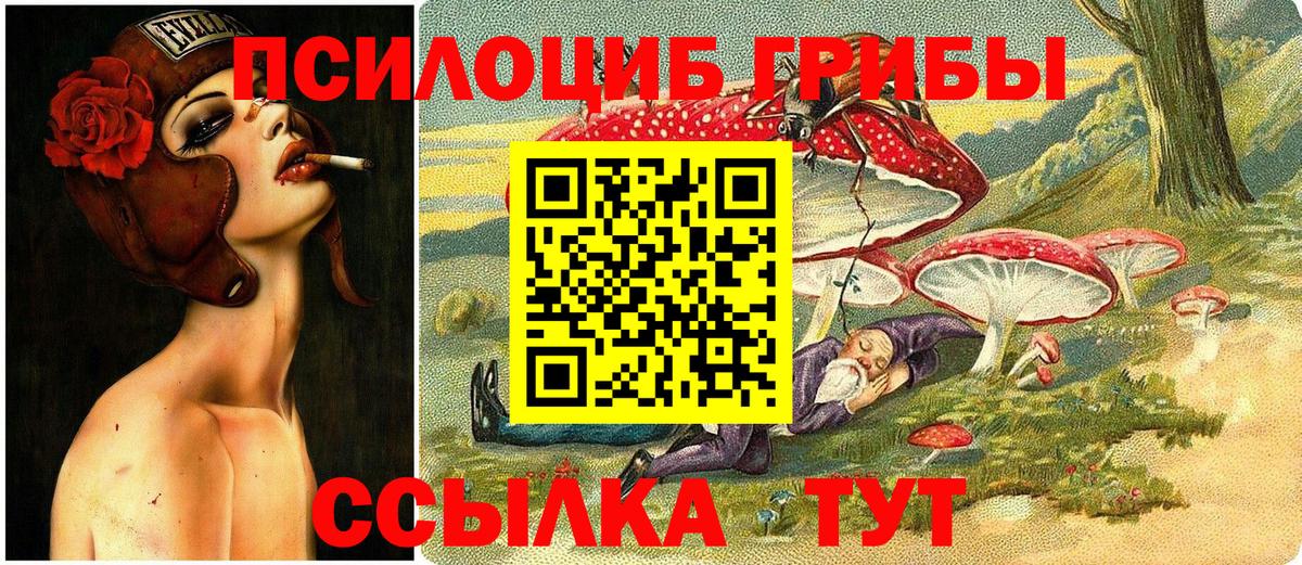 Галлюциногенные грибы мицелий  Вход с VPN  Бугульма 